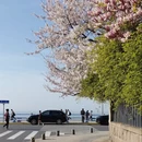 青岛旅游 缩略图 3