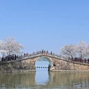 无锡旅游 缩略图 18