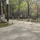 上海旅游 缩略图 2