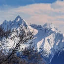 拉萨旅游 缩略图 4