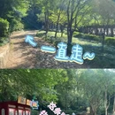 南京旅游 缩略图 6