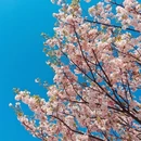 北京旅游 缩略图 2