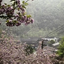 宁波旅游 缩略图 8