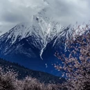 拉萨旅游 缩略图 5