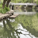 黄山旅游 缩略图 10