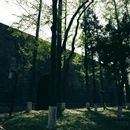 南京旅游 缩略图 8