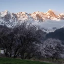 林芝旅游 缩略图 2