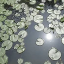 南京旅游 缩略图 7