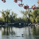 北京旅游 缩略图 5