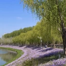 北京旅游 缩略图 4