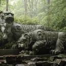 杭州旅游 缩略图 5