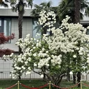西安旅游 缩略图 3