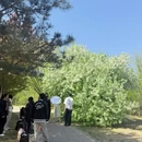 北京旅游 缩略图 3