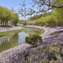 北京旅游 缩略图 7