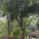 武汉旅游 缩略图 11