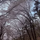 北京旅游 缩略图 2