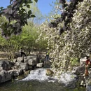 北京旅游 缩略图 6