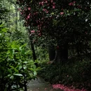 杭州旅游 缩略图 3