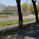 北京旅游 缩略图 6