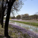 北京旅游 缩略图 5