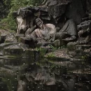 杭州旅游 缩略图 2