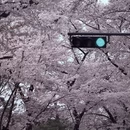 北京旅游 缩略图 6