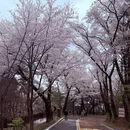 北京旅游 缩略图 8