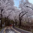 北京旅游 缩略图 4