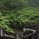 杭州旅游 缩略图 1