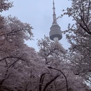 北京旅游 缩略图 7