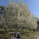 北京旅游 缩略图 9
