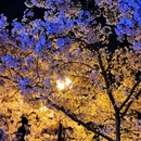 北京旅游 缩略图 7