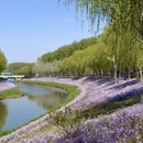 北京旅游 缩略图 2