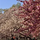 北京旅游 缩略图 6
