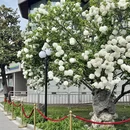 西安旅游 缩略图 5