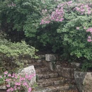 武汉旅游 缩略图 6