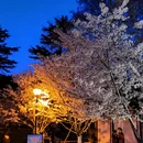 北京旅游 缩略图 8