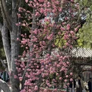 北京旅游 缩略图 11