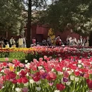 北京旅游 缩略图 16
