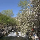 北京旅游 缩略图 7
