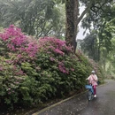 武汉旅游 缩略图 15