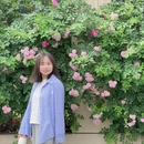 成都旅游 缩略图 4