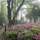 武汉旅游 缩略图 17