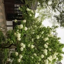 苏州旅游 缩略图 6
