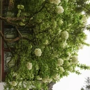 苏州旅游 缩略图 10