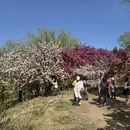 北京旅游 缩略图 12