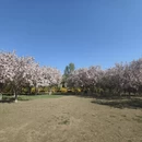 北京旅游 缩略图 10