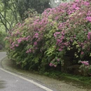 武汉旅游 缩略图 12