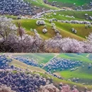 伊犁旅游 缩略图 15