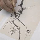 梅州旅游 缩略图 12